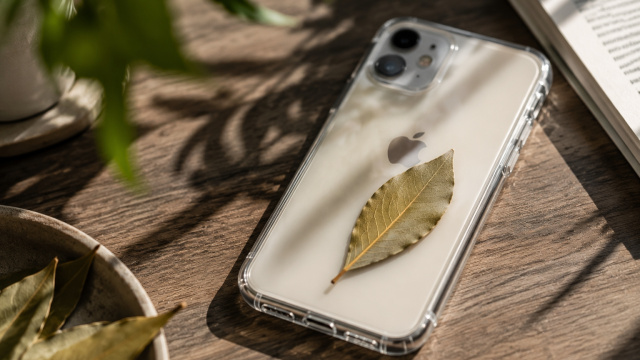 Telefon kılıfındaki defne yaprağı akımı