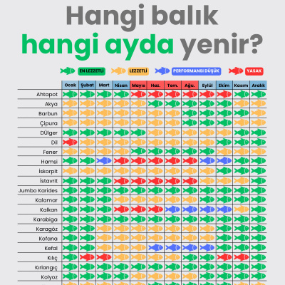 Eylül ayı balıkları, pişirme ve marine teknikleri