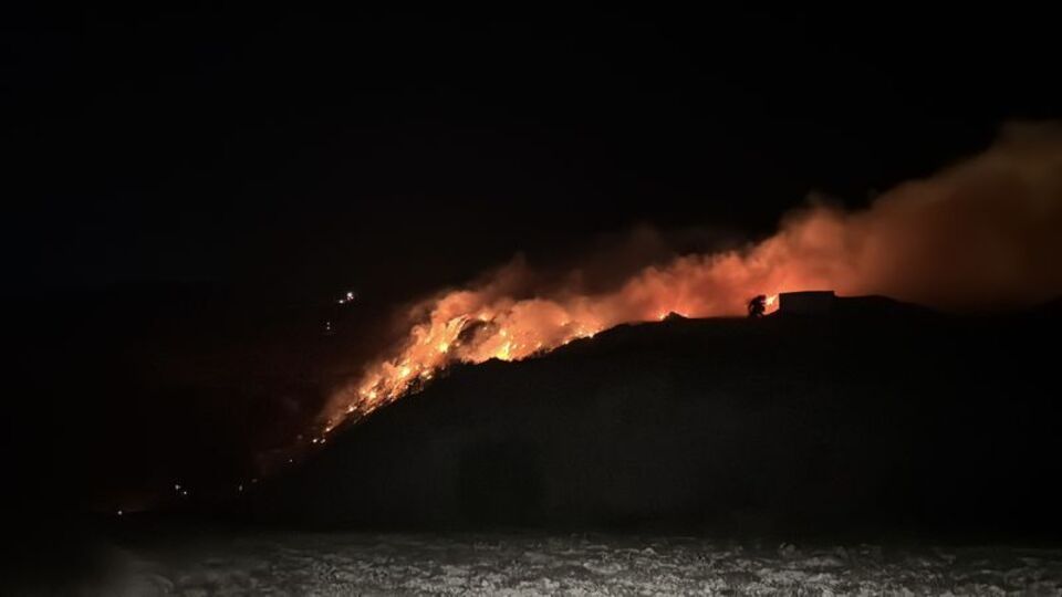 İzmir'de orman yangını