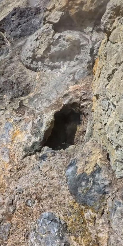 Tendürek Dağı'nın kraterine indiler: Adeta cehennem çukuru