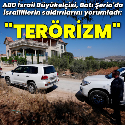 ABD elçisi: İsraillilerin saldırıları terörizm