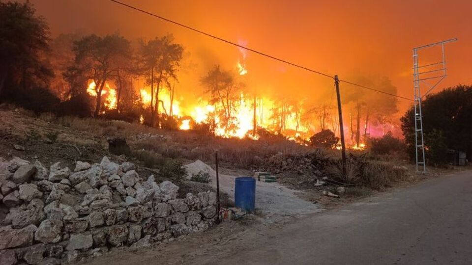 Adana ve Antalya'da orman yangını