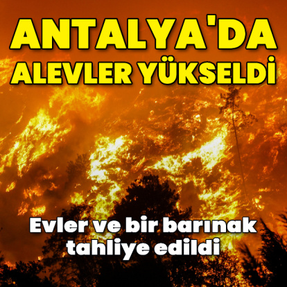 Adana ve Antalya'da orman yangını