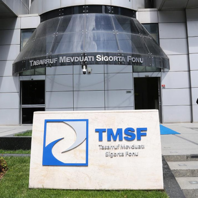 TMSF iki şirketi satışa çıkardı