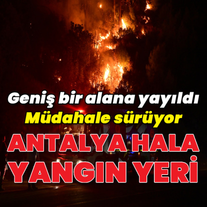 Antalya'da orman yangını