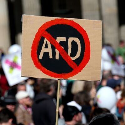 Almanya'da AfD karşıtı protestolar büyüyor