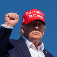 Trump'tan AfD'ye: Çok büyük bir başarı elde etti