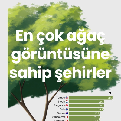 En çok ağaç görüntüsüne sahip şehirler
