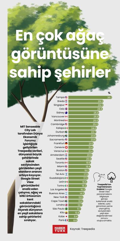 En çok ağaç görüntüsüne sahip şehirler