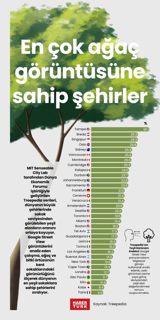 En çok ağaç görüntüsüne sahip şehirler