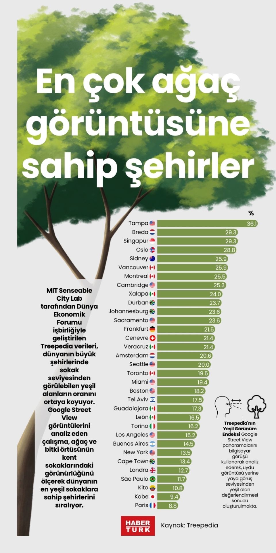 En çok ağaç görüntüsüne sahip şehirler