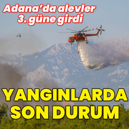 Adana'da alevler 3. güne girdi... Yangınlarda son durum
