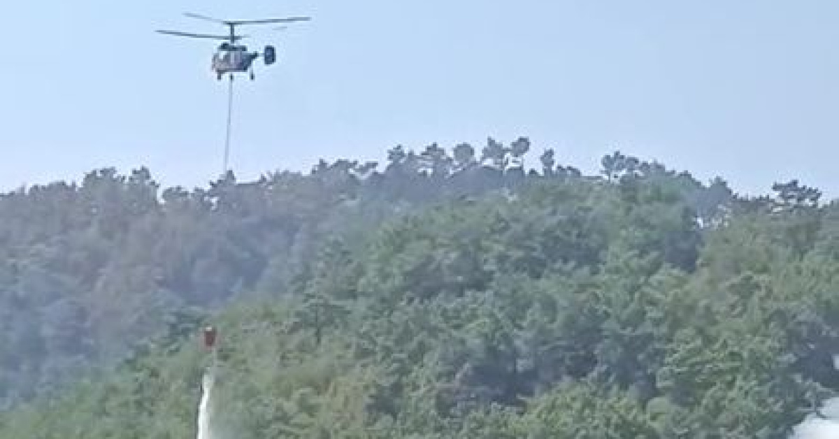 Adana Kozan'da yeniden yangın!