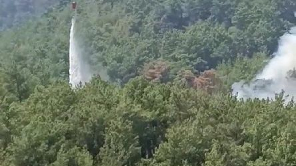 Adana Kozan'da yeniden yangın!