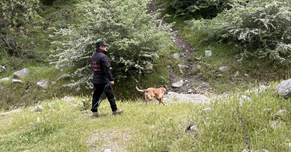 Sivas’ta kayıp bebek aranıyor