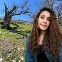 Gülistan Doku soruşturmasında 6. dalga operasyon