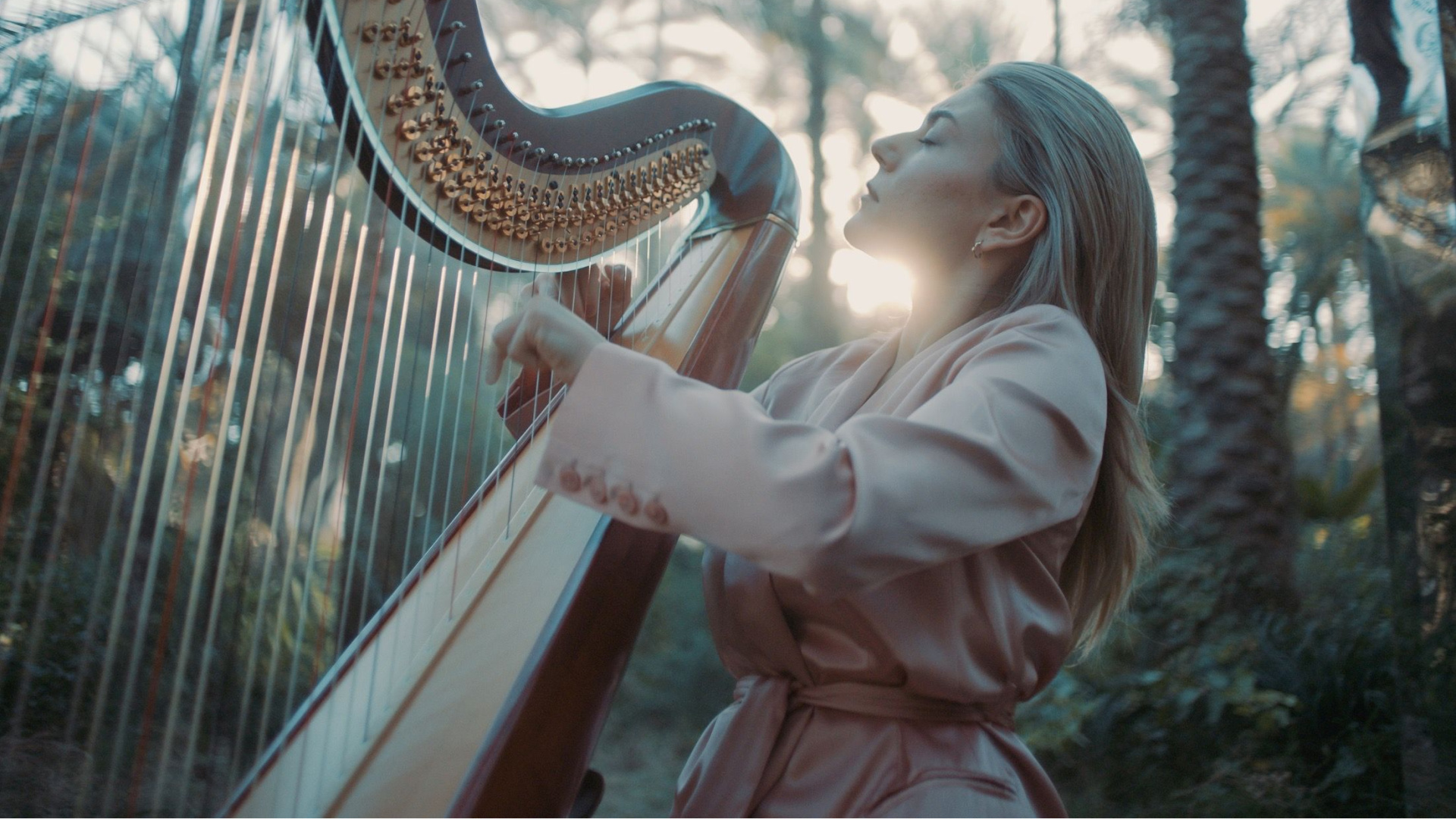 İstanbul Senfoni Orkestrası, Müzik Ziyafetine Hazır