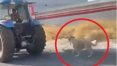 Vicdansızlık! Köpeği traktöre iple bağlayıp koşturdu