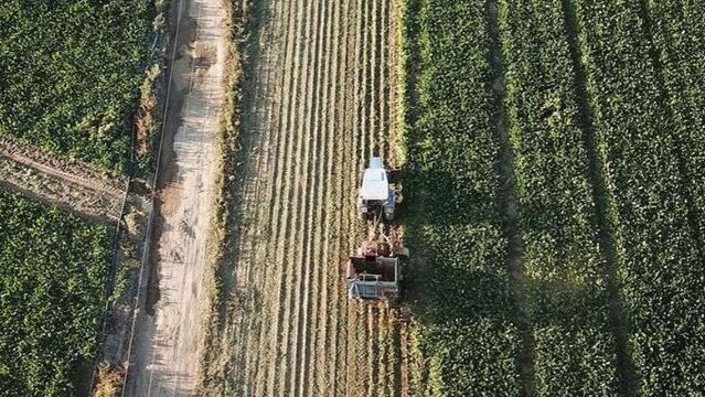 Kırsal kalkınma yatırımlarına 12,5 milyar liralık hibe desteği