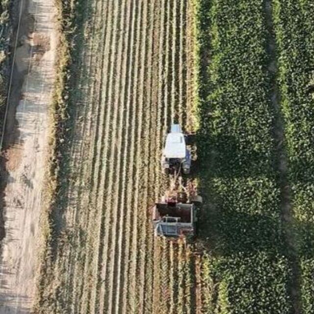 Kırsal kalkınma yatırımlarına 12,5 milyar liralık hibe desteği