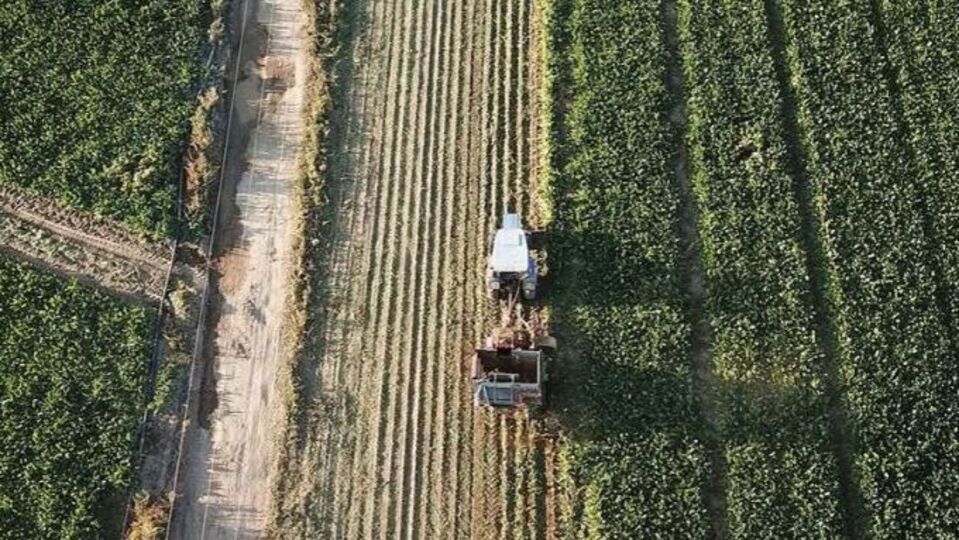 Kırsal kalkınma yatırımlarına 12,5 milyar liralık hibe desteği