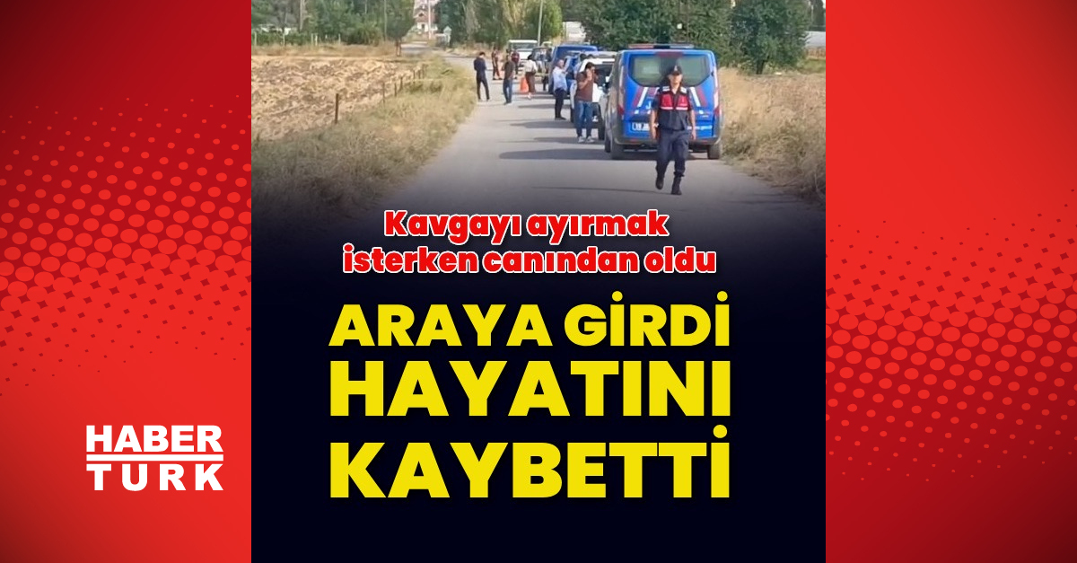 Kavgayı ayırmak isterken canından oldu
