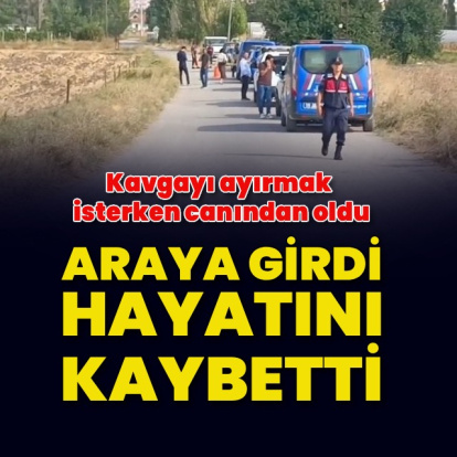 Kavgayı ayırmak isterken canından oldu