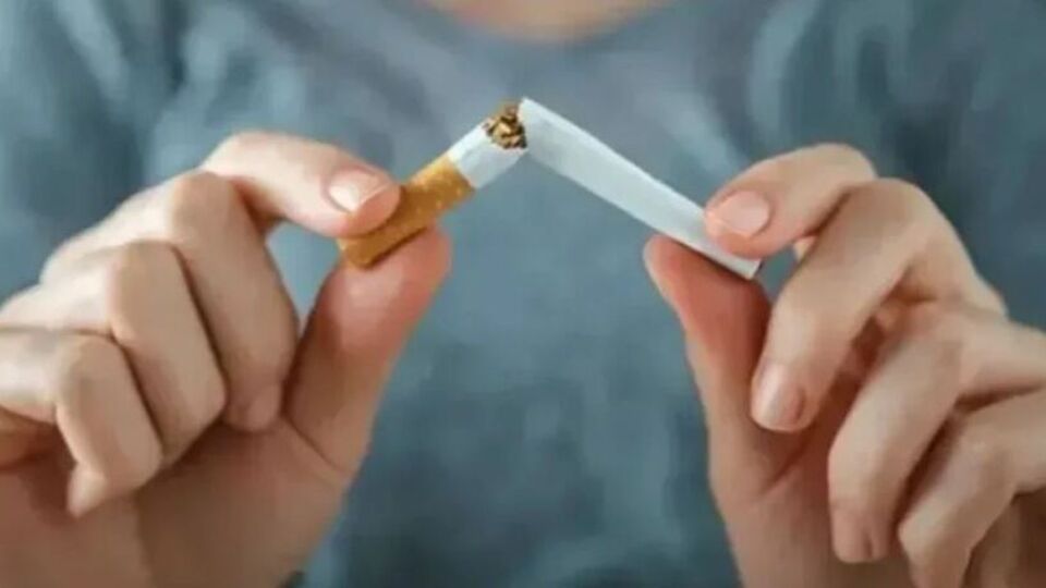 Yaprak sigara kağıdına yeni düzenleme