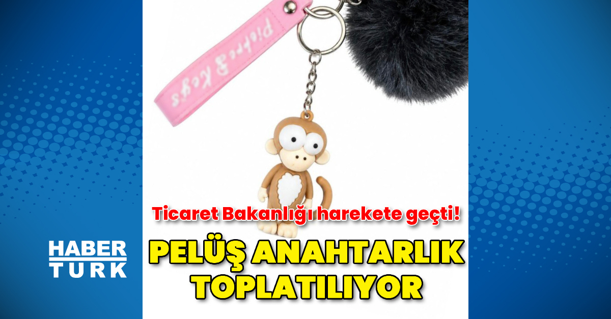 Riskli anahtarı toplatma kararı