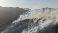 Bingöl’de orman yangını | Son dakika haberleri