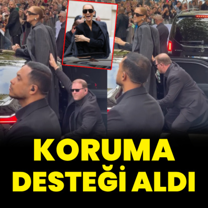 Koruma desteği