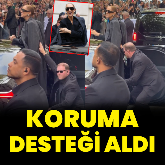 Koruma desteği