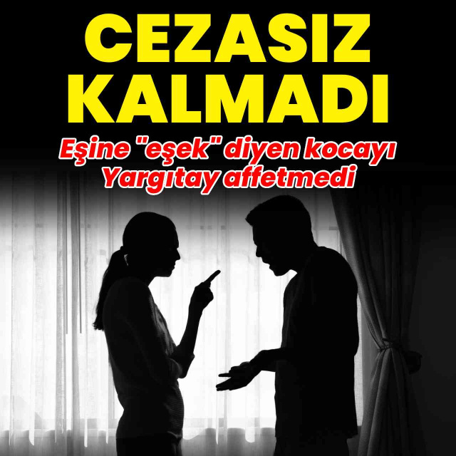 Eşine "eşek" diyen kocayı Yargıtay affetmedi