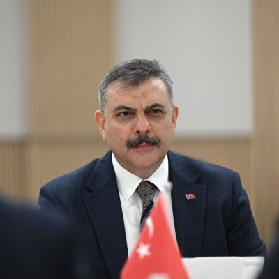 "Sokak hayvanlarının yüzde 99,22'si toplandı"
