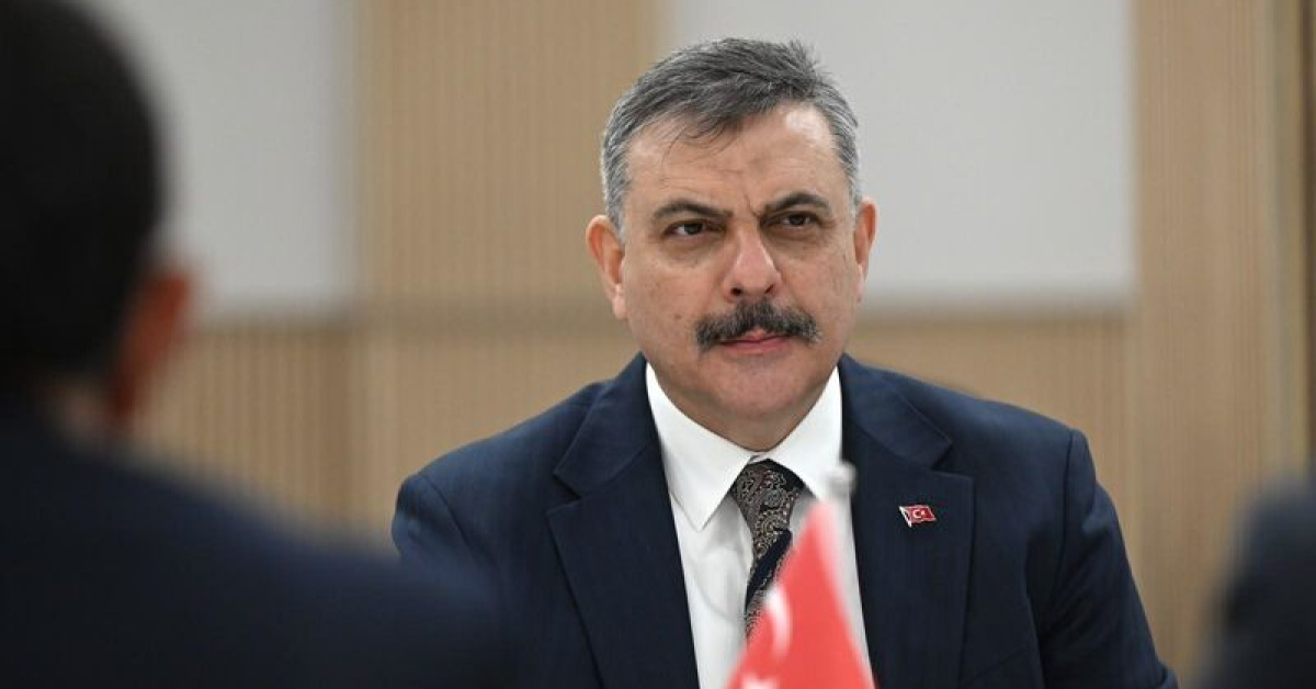 "Sokak hayvanlarının yüzde 99,22'si toplandı"