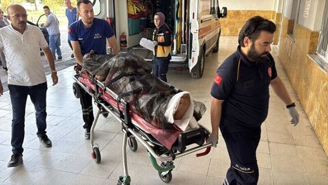 SON DAKİKA HABERİ: Sivas'ın Zara ilçesinde, yaylada hayvan otlatan çoban 45