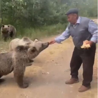 Bozayıya kedi muamelesi! Elleriyle pide verdi...