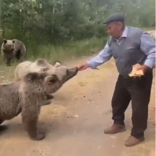 Bozayıya kedi muamelesi! Elleriyle pide verdi...