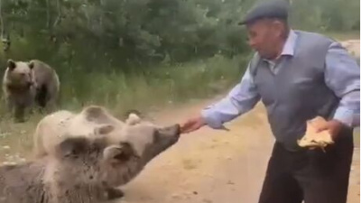 Bozayıya kedi muamelesi! Elleriyle pide verdi...