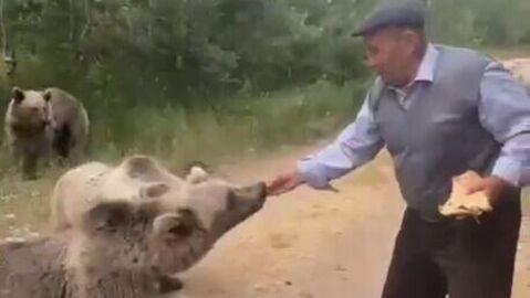 Bozayıya kedi muamelesi! Elleriyle pide verdi.. | Hatay Masası | Haberler analizi