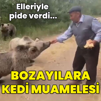 Bozayıya kedi muamelesi! Elleriyle pide verdi...