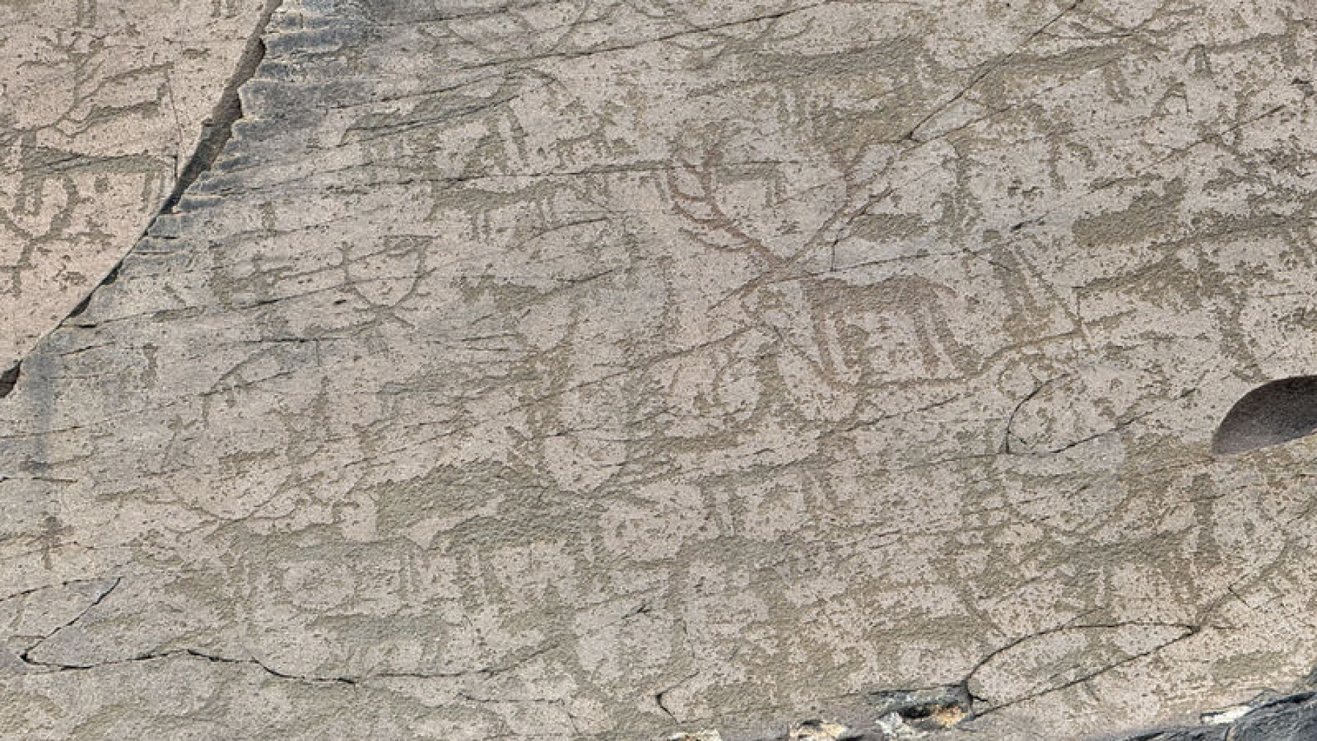 Kayalara işlemişler! Kars'ta gizemli figürler haber görseli
