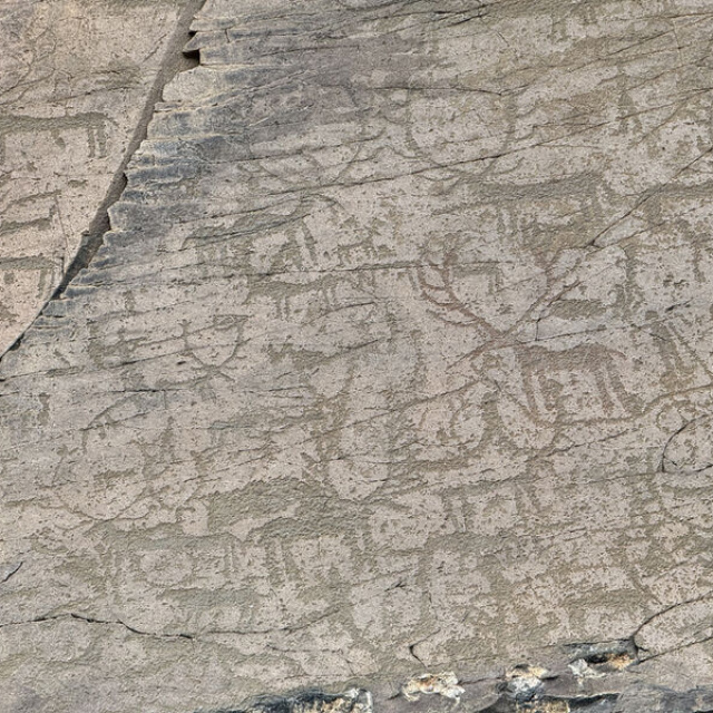 Kayalara işlemişler! Kars'ta gizemli figürler