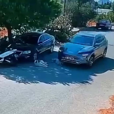 Köpekleri ezip yoluna devam etti