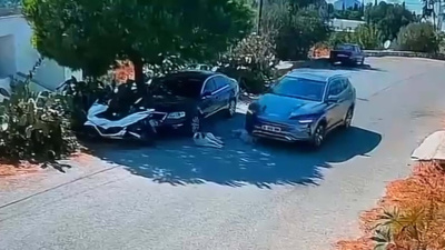 Köpekleri ezip yoluna devam etti