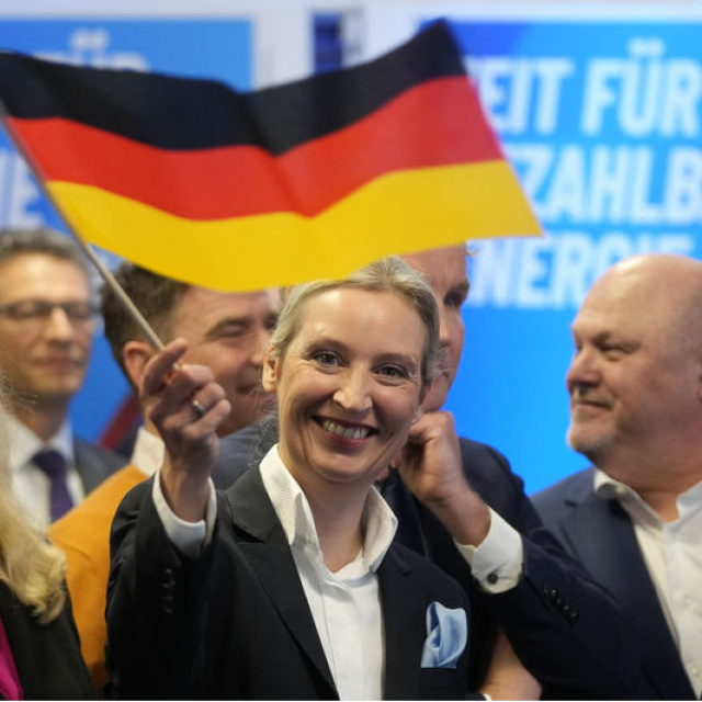 Almanya'da bir eyaletteki seçimi daha AfD kazandı