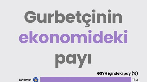 Gurbetçinin ekonomideki payı
