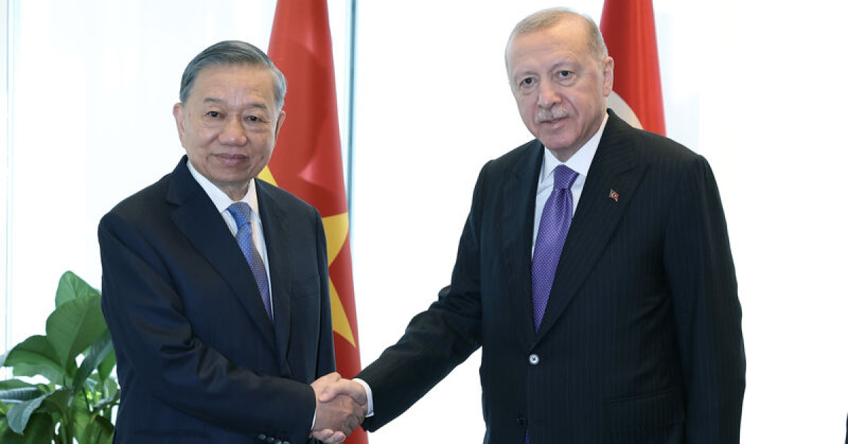 Cumhurbaşkanı Erdoğan, Vietnam Devlet Başkanı ile görüştü