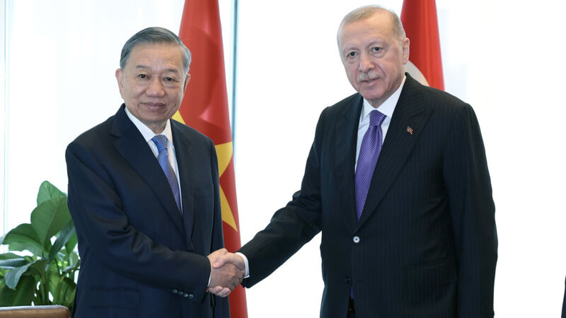 Cumhurbaşkanı Erdoğan, Vietnam Devlet Başkanı ile görüştü