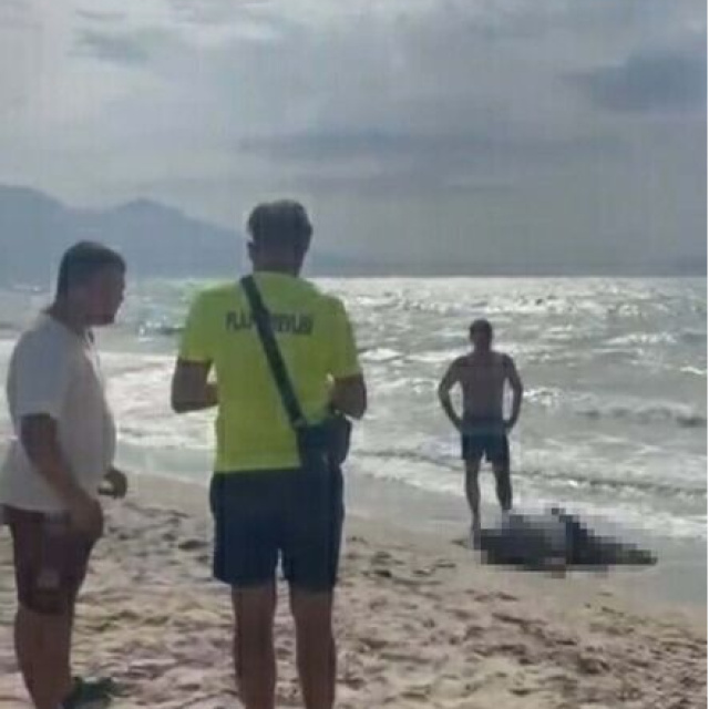 Yattan düşen iş insanının cesedi sahilde vurdu